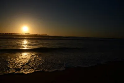 DSC_7094 (Large).JPG